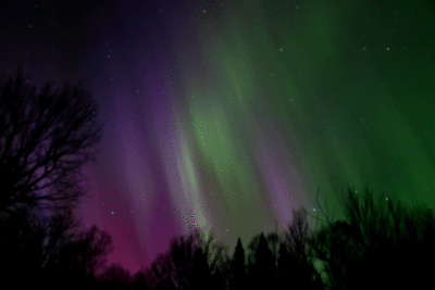 lights6.gif