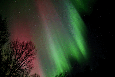 lights13.gif