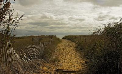 Lucy Vincent, path to beach