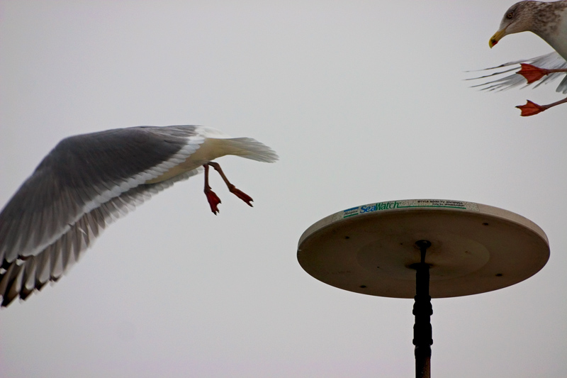 Landing Pattern is Full