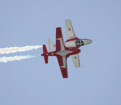 JJ2M7741.JPG