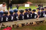 Play Ball by John Hill