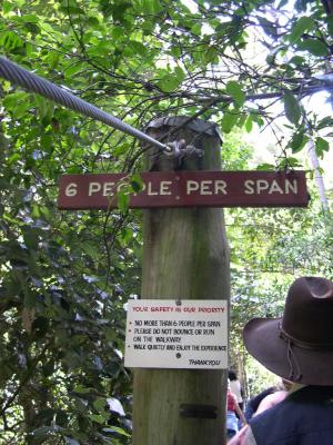 u21/laine82/medium/36930666.TisforTreeTopTerrorWalk.jpg