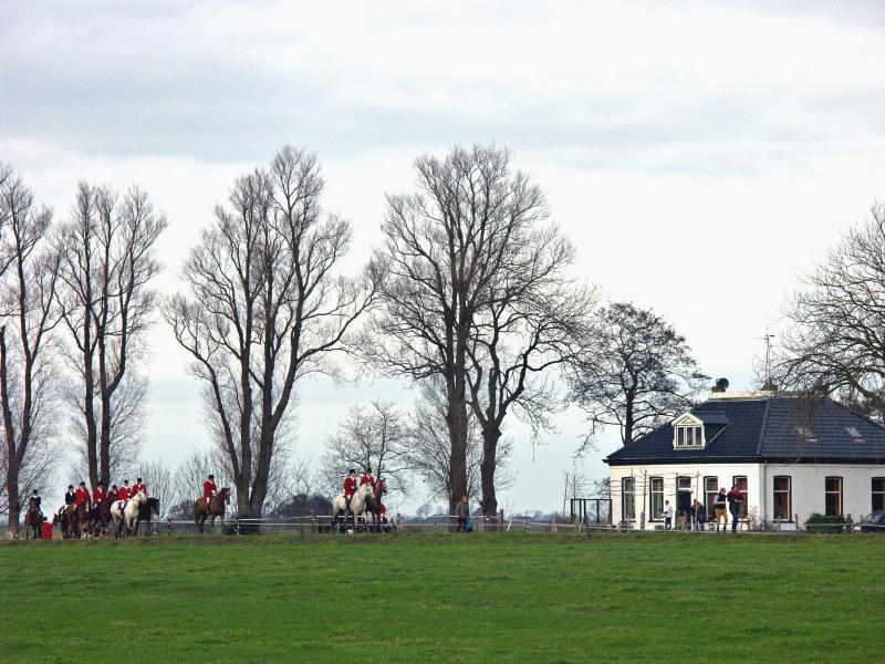 Hunting Scene