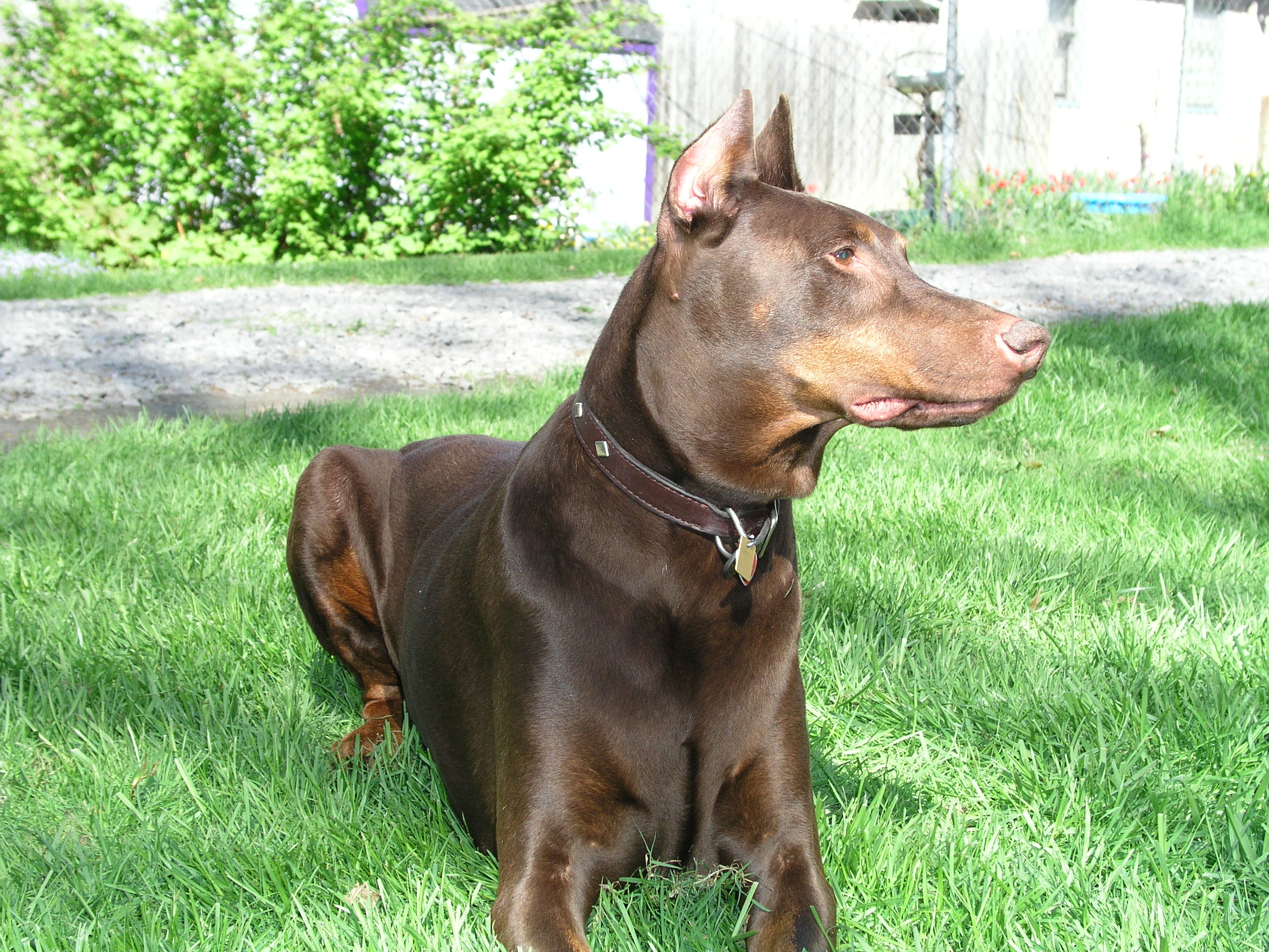 Barry