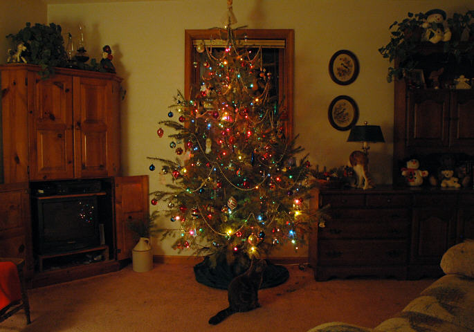 tree and a cat or 2
