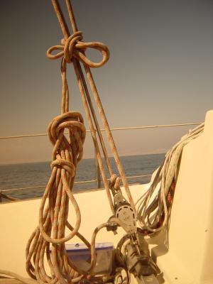 MainSheet.JPG