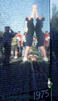 Vietnam Wall 613