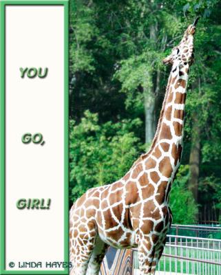 GiraffeReachCard Web copy.jpg