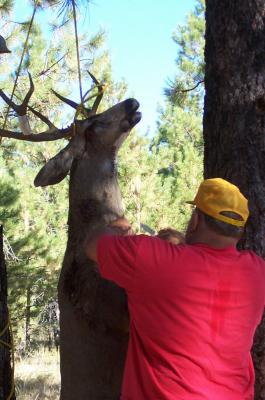 Hunting2004 017.jpg