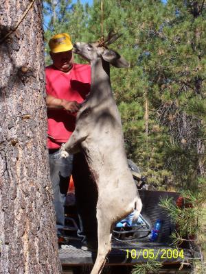 Hunting2004 071.jpg
