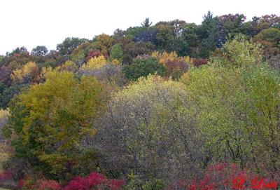 Ablemans Gorge 134a.jpg