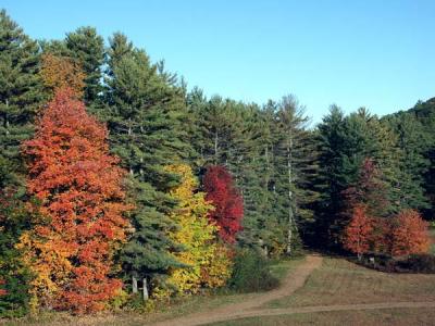 PICT0352.jpg