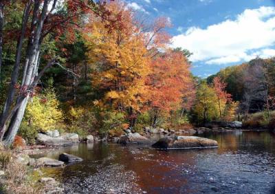 fall-04-contoocook-m10423.jpg