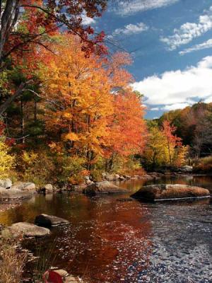 fall-04-contoocook-m10427.jpg