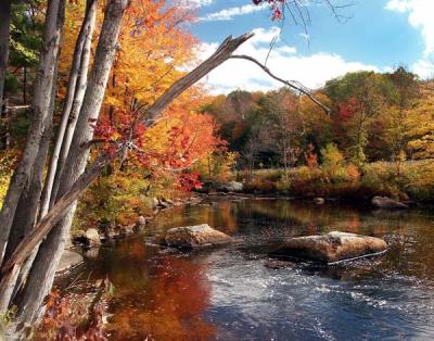 fall-04-contoocook-m10429.jpg