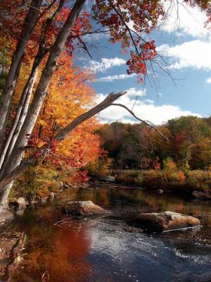 fall-04-contoocook-m10430.jpg