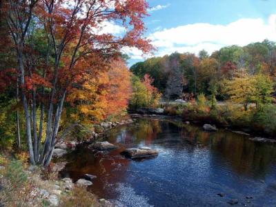 fall-04-contoocook-m10432.jpg