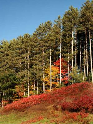 fall-04-m10394.jpg