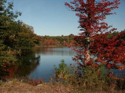 fall-04-m10395.jpg