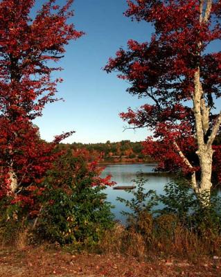 fall-04-m10396.jpg
