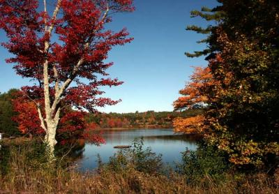 fall-04-m10397.jpg