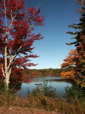fall-04-m10398.jpg