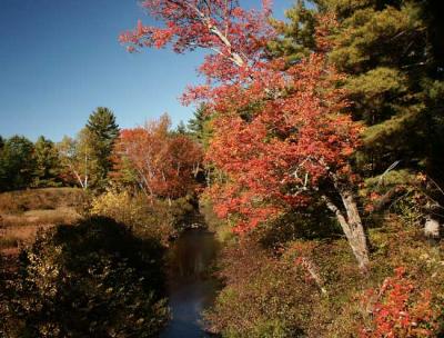 fall-04-m10401.jpg