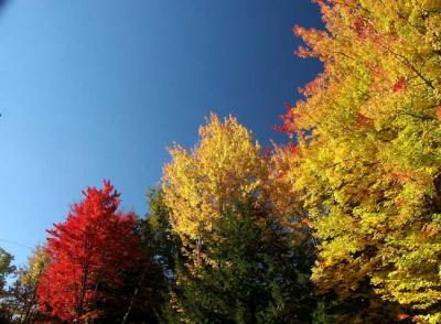 fall-04-m10408.jpg