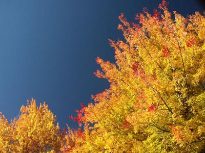 fall-04-m10409.jpg