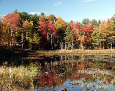 fall-04-m10410.jpg