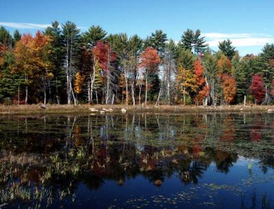 fall-04-m10412.jpg