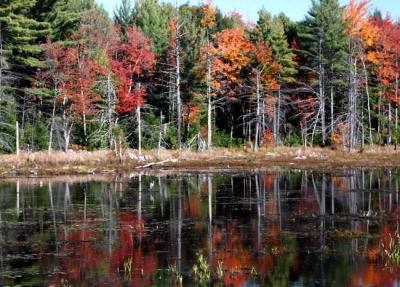 fall-04-m10413.jpg