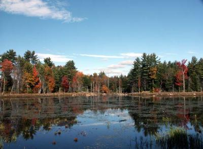 fall-04-m10416.jpg