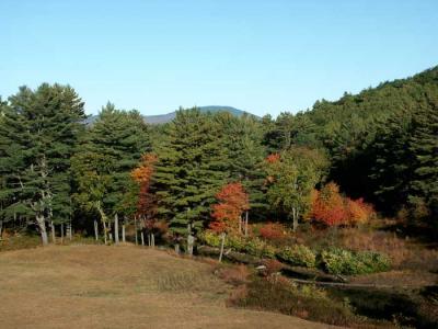 fall-blackwater-dam-m10357.jpg