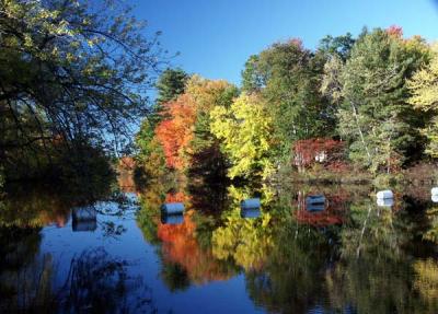 fall-hopkinton-m10378.jpg