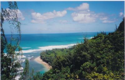 u21/loissd/medium/35240800.ViewFromWindyPointofKalalauTrailKauaiHI.jpg