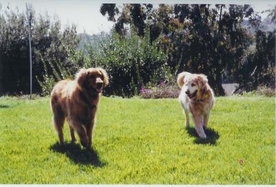 Chip and Zoe
