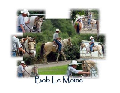 Bob Le Moine