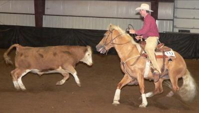 Reining I90 Expo 10-16-04