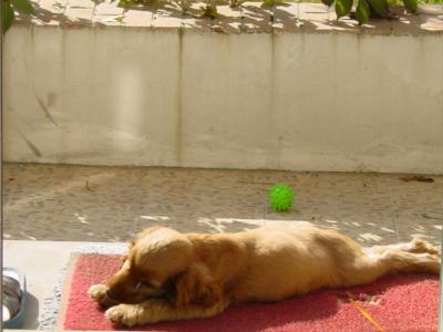 DSC05093.JPG