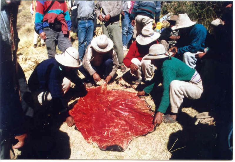 Fresh rawhide is used to make cross-sticks that fix the main cables into place