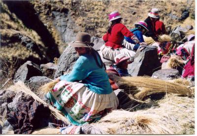 Quechua women preparing the qqoya bundles to make ropes