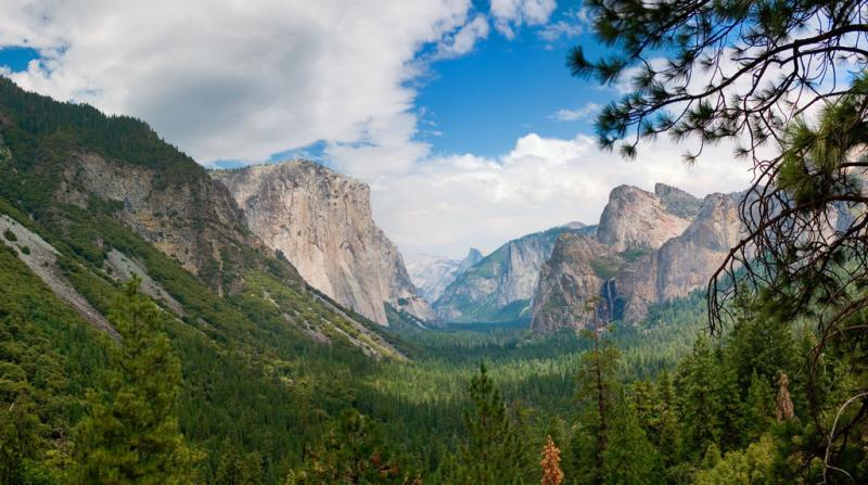 Tunnel View Pano.jpg