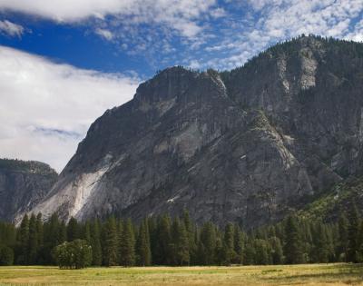 Mountain and meadow