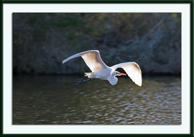IMG_1307ps{Q}.jpg