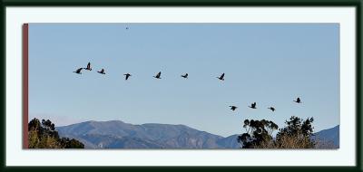 IMG_1355ps{Q}.jpg