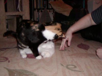 PC250531.JPG