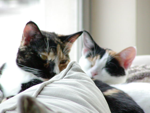 PC240475.JPG