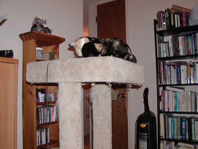 PC250546.JPG